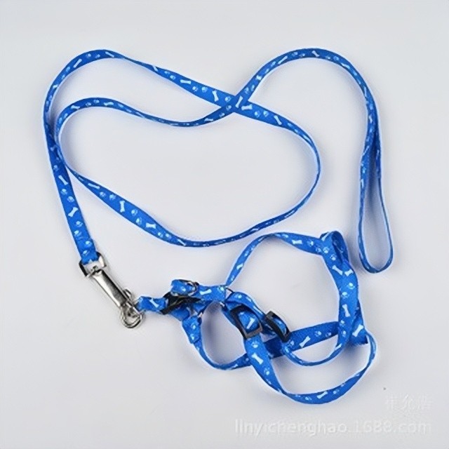 Coleira De Couro Colorida Para Cachorrinhos-Elegan