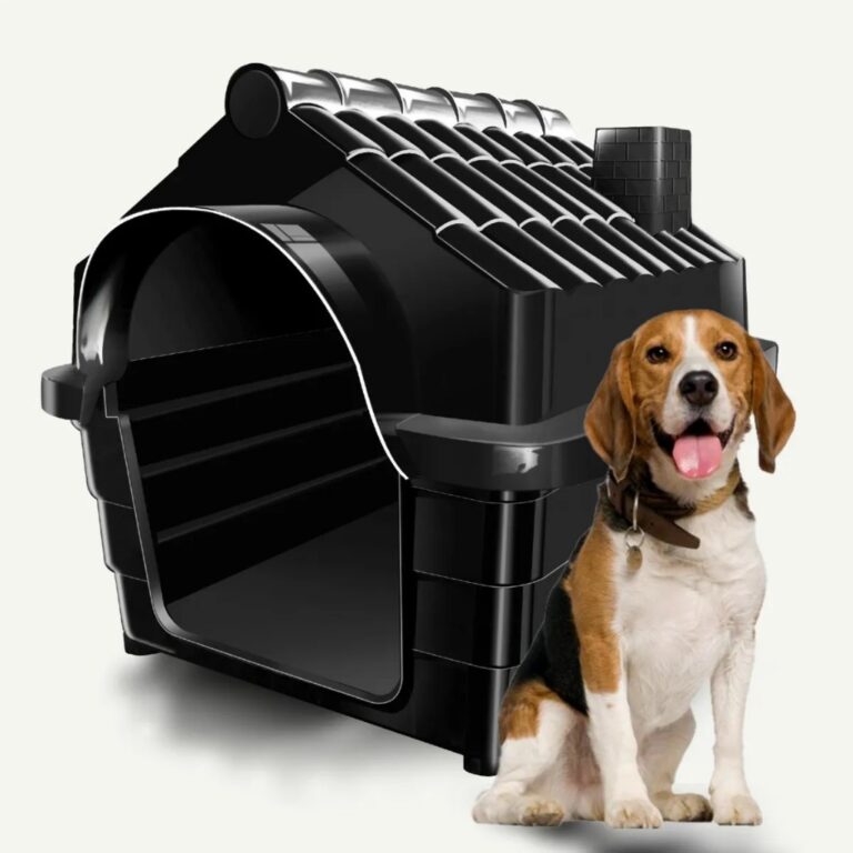 Casinha De Cachorro Cães Dog Número 3 Raças Peq