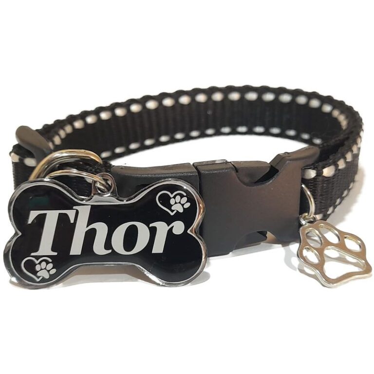 Coleira e Plaquinha de Identificação ossinho par