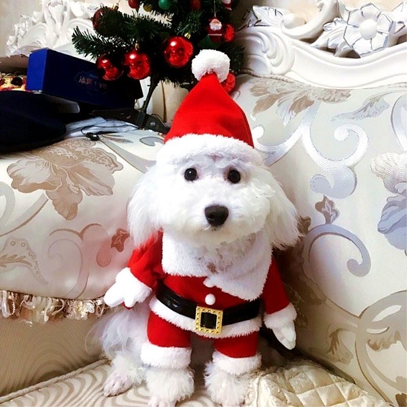 Fantasia De Papai Noel Para Animal De Estimação Cachorro Transformação Divertido Tridimensional Para