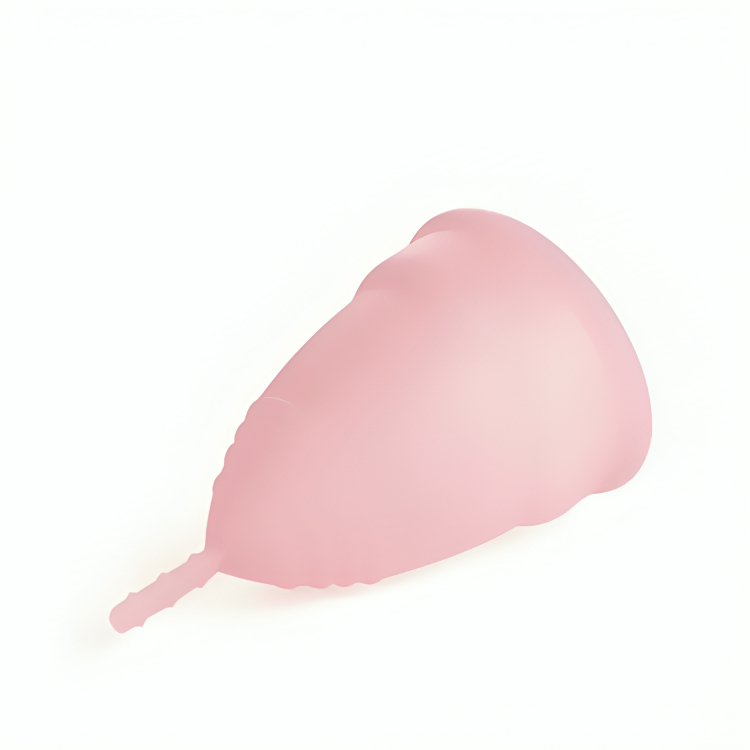 Kit Coletor Menstrual Copo Ecológico de Silicone 