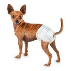 Fralda Higiênica Descartável Para Pet Kit 10un 3