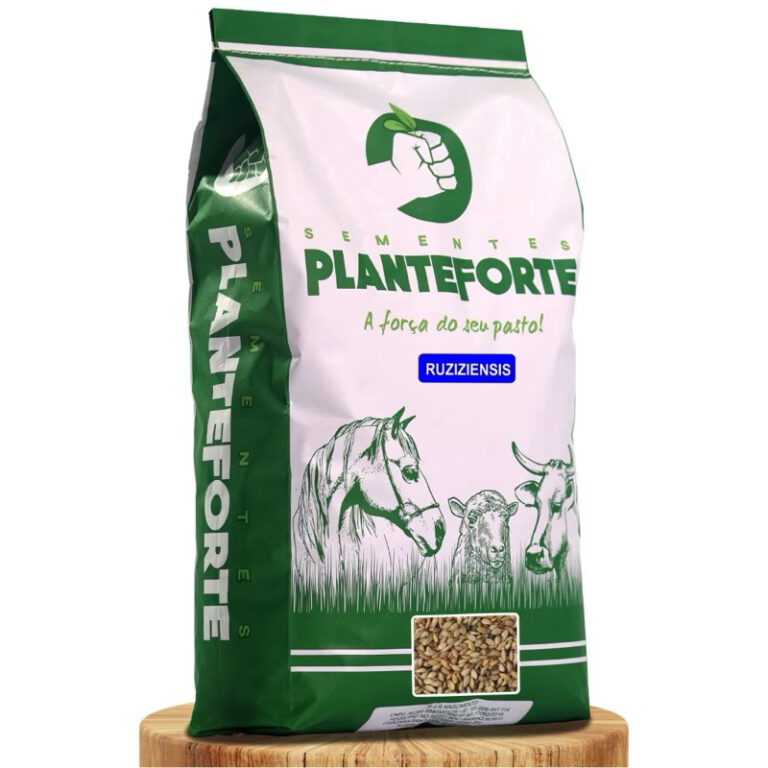 Semente Capim Brachiaria Ruziziensis 10Kg