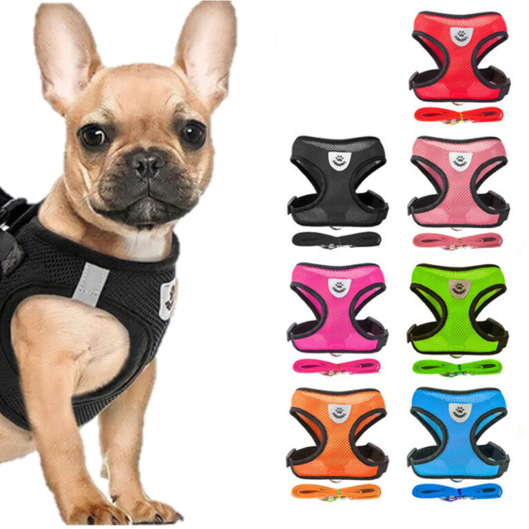 Coleira Peitoral Cães E Gatos Ajustável Com Guia