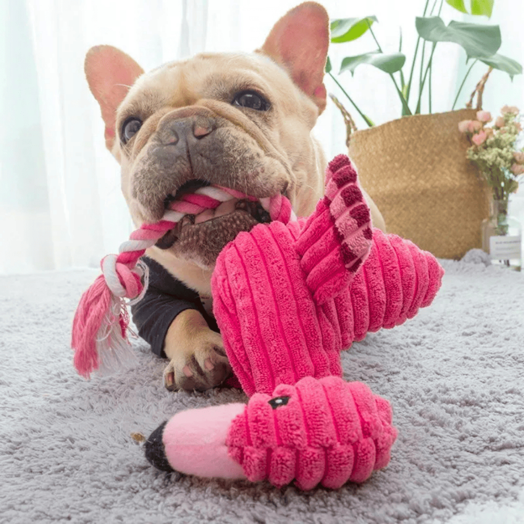 Mordedor Pelúcia Cão Brinquedo Flamingo Som Resistente Cachorro Pet Macio