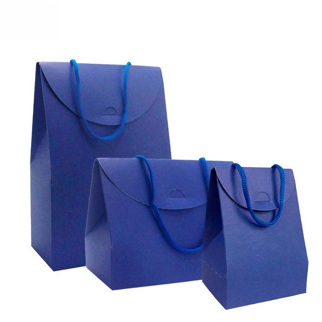 Kit Sacola de Papel Presente Diversos Tamanhos 30un