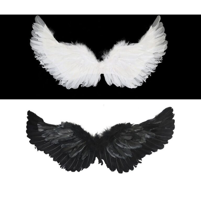 Fantasia de Asa de Anjo ou Diabo – Asas De P