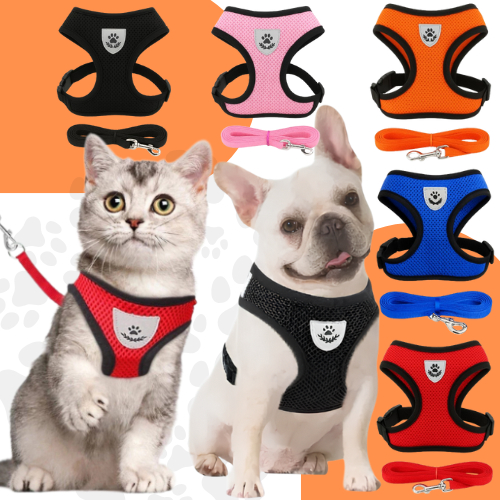 Guia Coleira de Malha Flexível com Colete Peitora