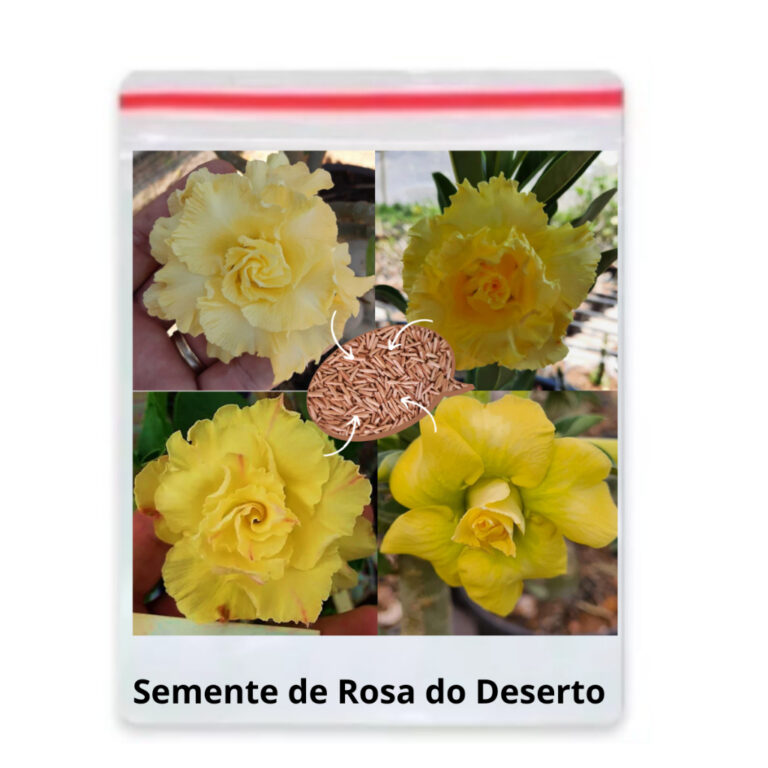 18 Sementes De Rosa Do Deserto Amarela Dobrada/tri