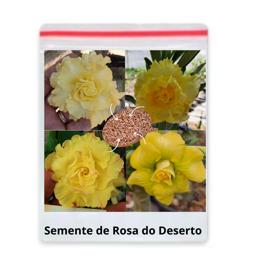 18 Sementes De Rosa Do Deserto Amarela Dobrada/tripla