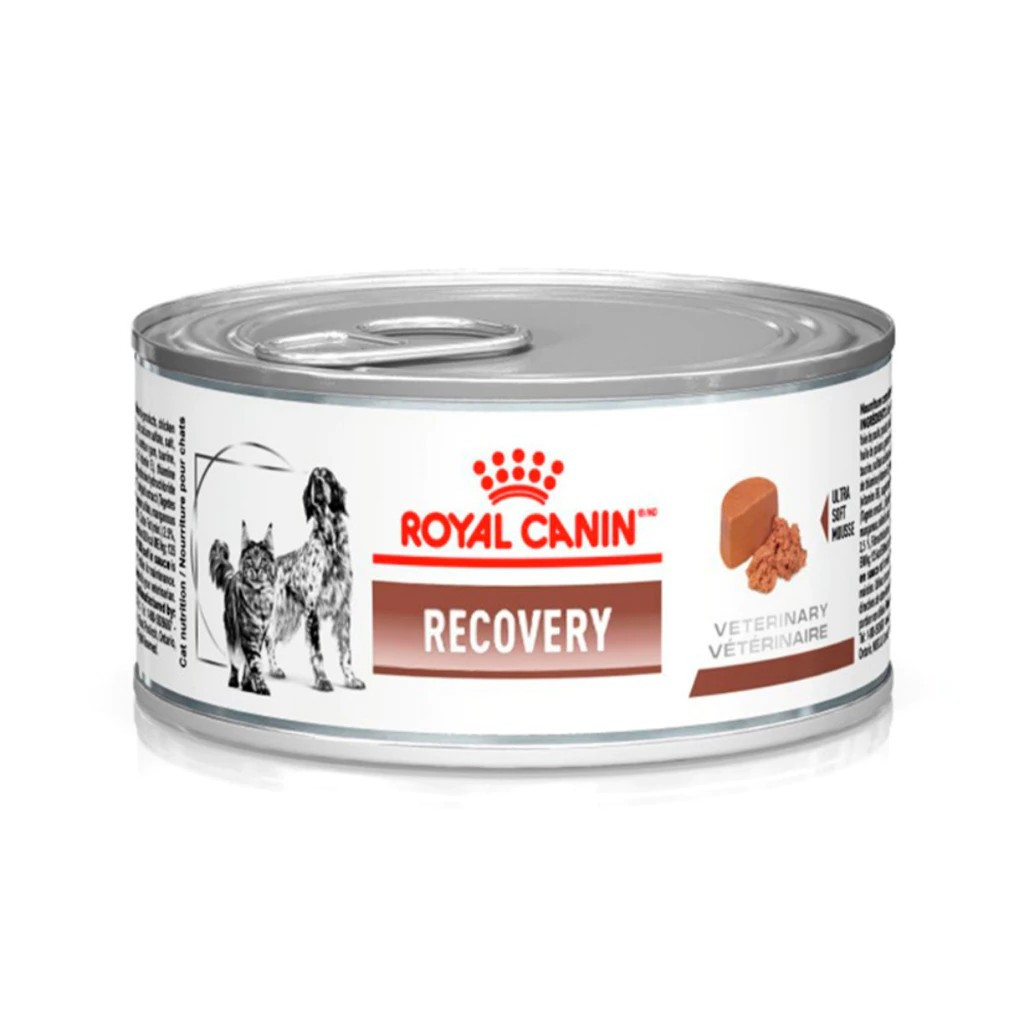 Royal Canin Recovery 195g Alimento Úmido Cães e Gatos em Recuperação | Lata Original