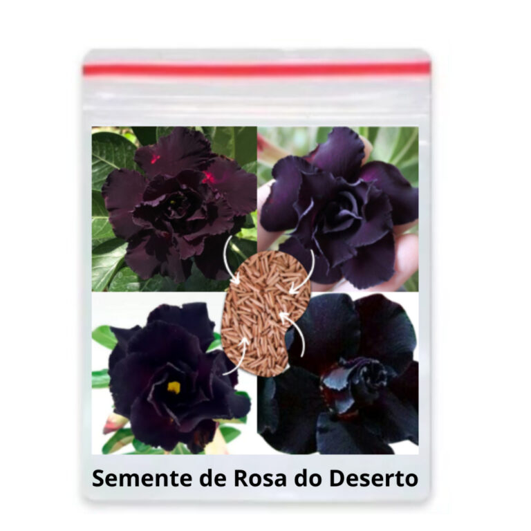 18 Sementes De Rosa Do Deserto Negra Dobrada/tripl