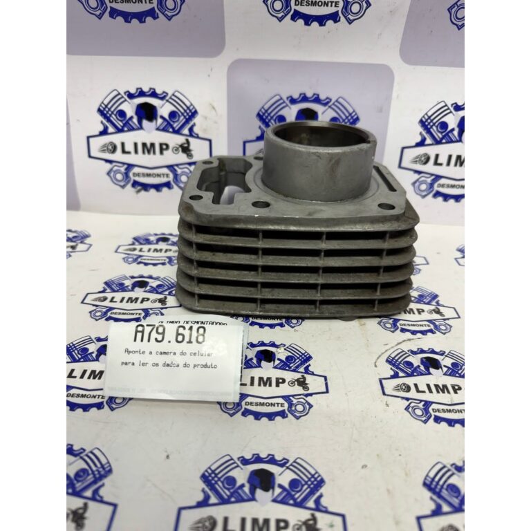 CILINDRO DO MOTOR HONDA CG FAN 125 09/13 ORIGINAL