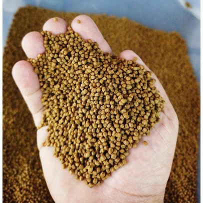 Ração Tartaruga, Jabuti, Répteis e Peixes Adult