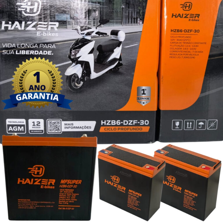 Kit 2 Bateria Cadeira De Rodas 12V 30ah 1 Ano Gara