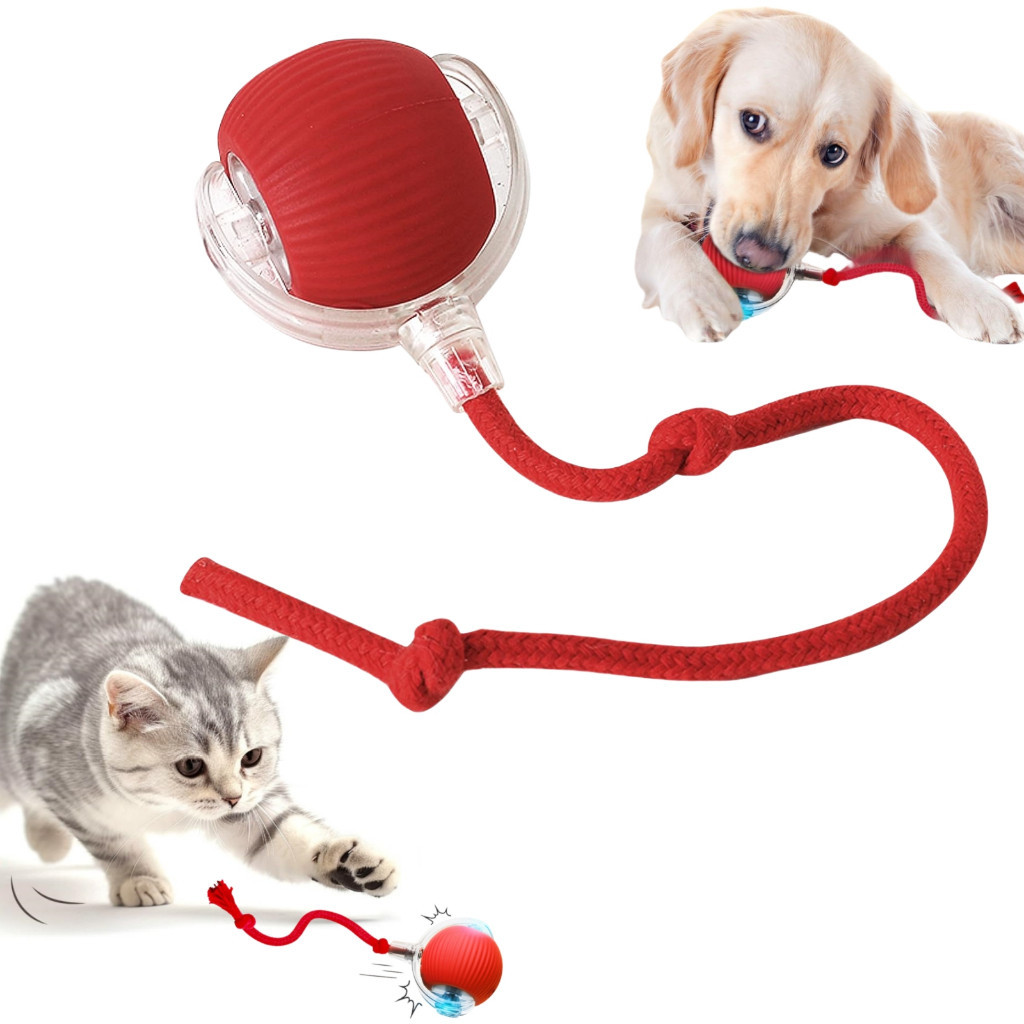Função de despertar Brinquedos Inteligentes Para Gatos Bola De Rolamento Automática Cauda Falsa Reca