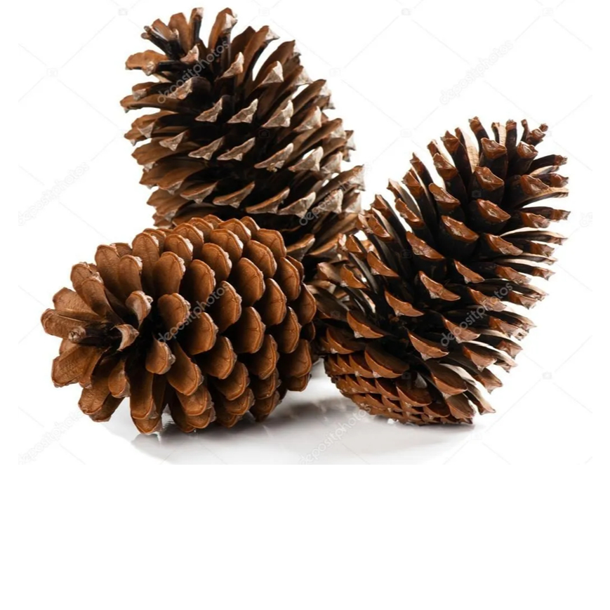 pinha natural 30 unidades