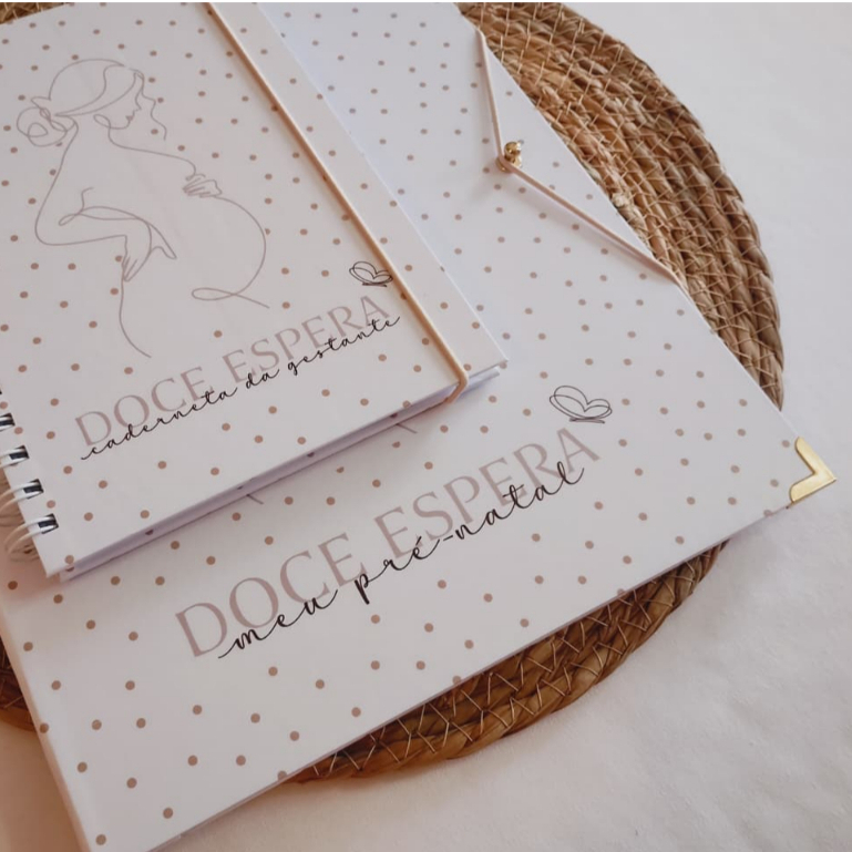 KIT pasta gestante para acompanhamento pré natal 