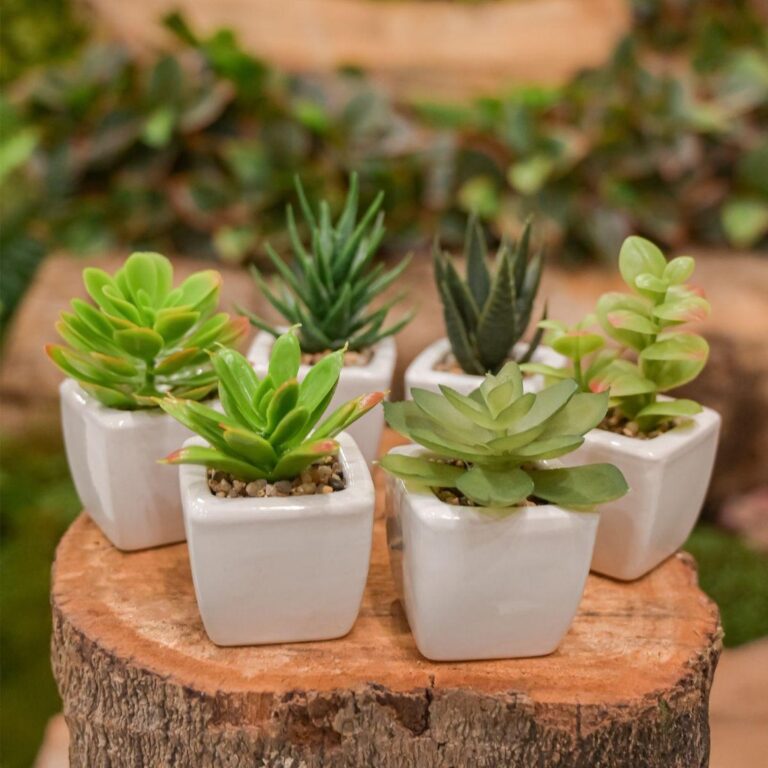 Kit Suculentas Artificiais Decorativas Sortidas De