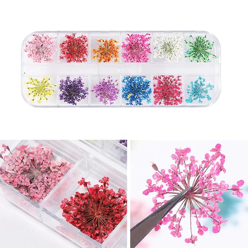 Caixinha com 12/24/36 Flores Secas Encapsulamento Decoração Unhas De Gel