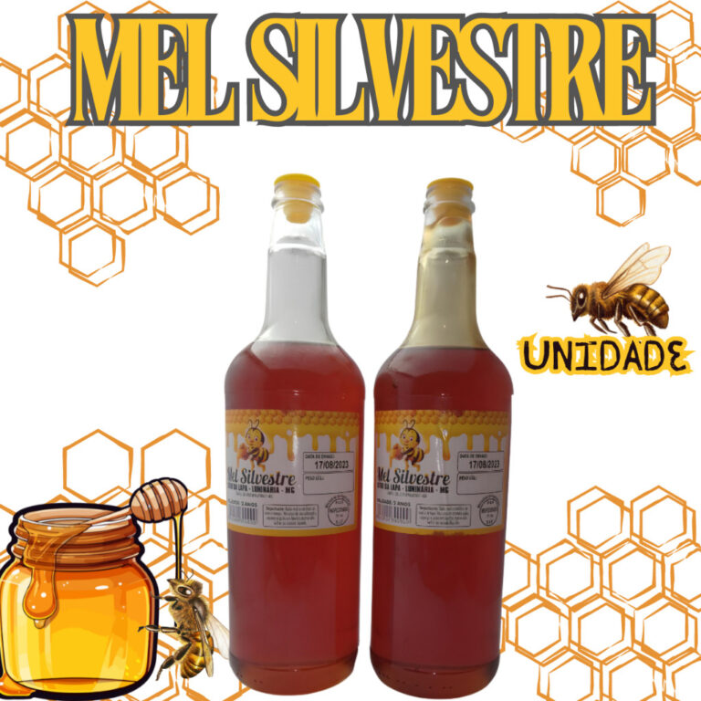 Promoção Mel Garrafa Abelha Silvestre 1,3kg Envi