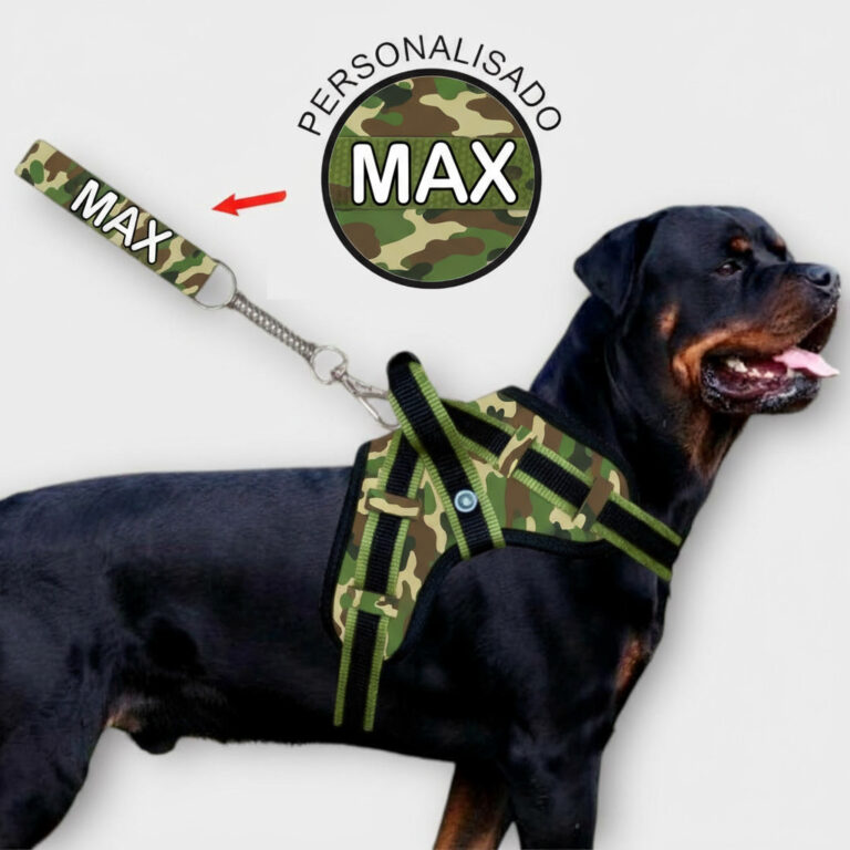 COLEIRA PERSONALIZADA REFORÇADA COM GUIA PARA CÃ