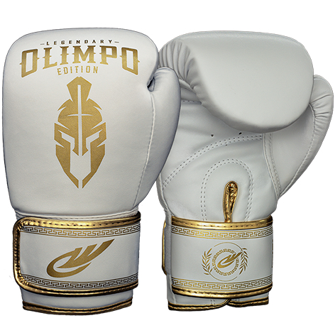 Luva De Boxe Muay Thai  Kickboxing Olimpo Esportes