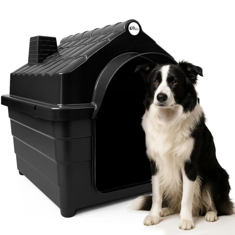 Casinha Plástica Cachorro N6 e N7 Porte Médio Co