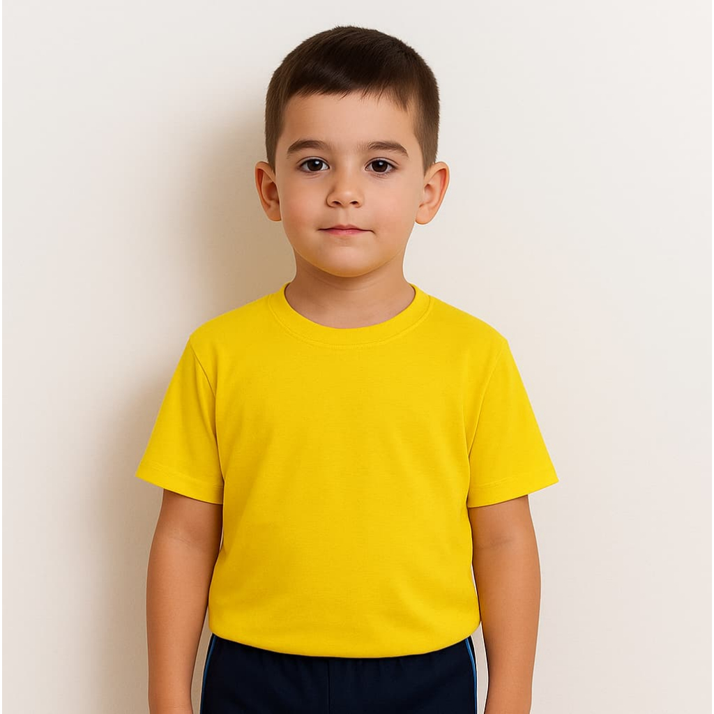 Camiseta Infantil Unissex Juvenil Criança Lisa Malha PV Malha Fria