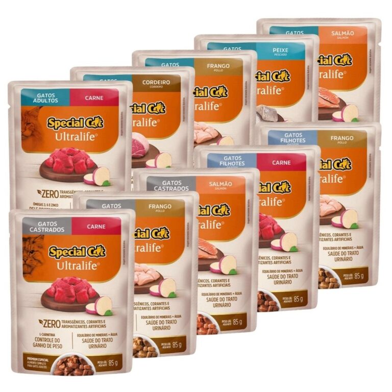 Caixa 12 Sachê Premium Special Cat