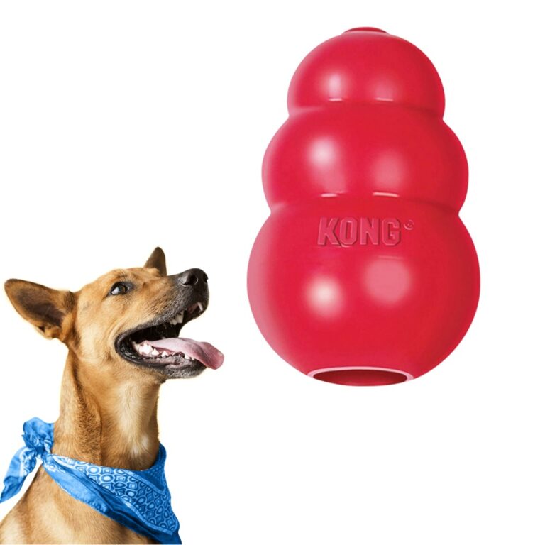 Brinquedo Pet Interativo  Cães Kong Original Clas
