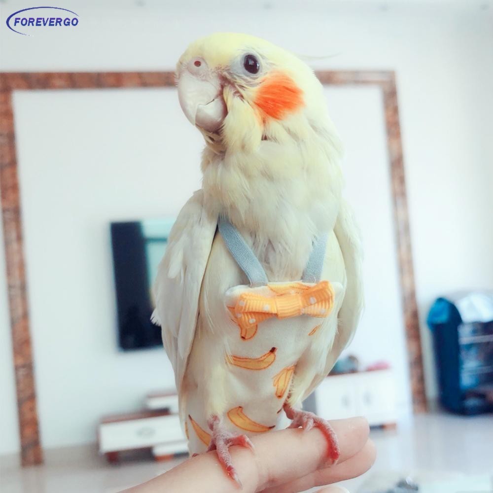 FR Pássaro Papagaio Fralda Calopsita Pombos Terno De Vôo Roupas Médio Grande Animais De Estimação Pá