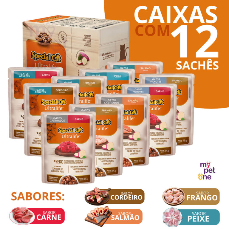 Caixa 12 Sachê Premium Special Cat