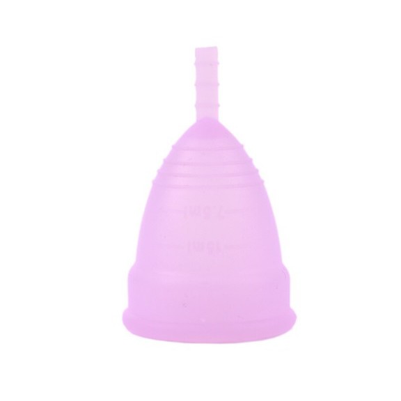 1 Unidade Coletor Menstrual (P) Reutilizável Ecol