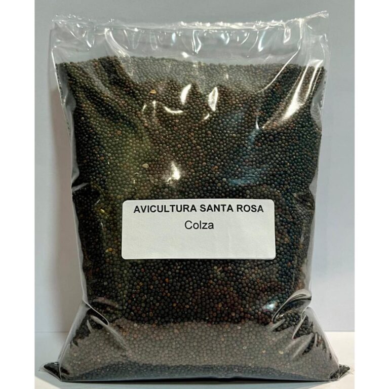 Semente De Colza – 1kg