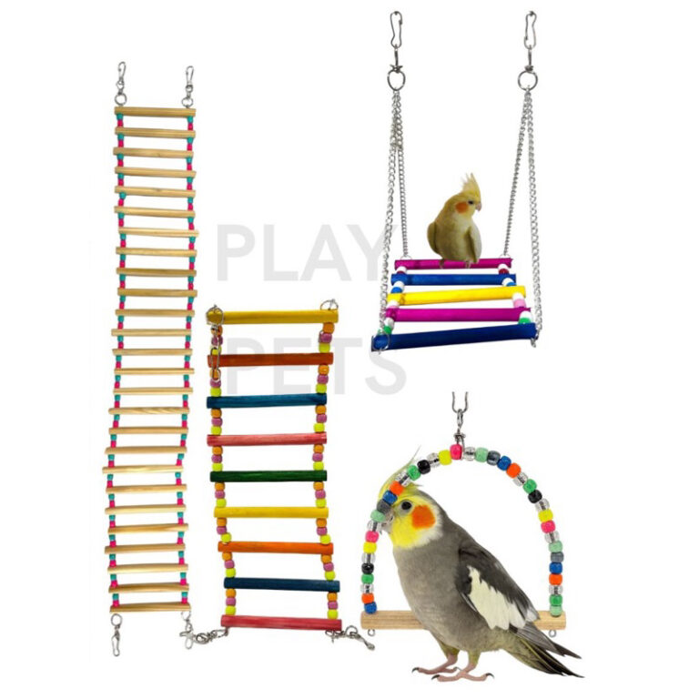Kit com 4 Brinquedos para Aves – Ponte Escad
