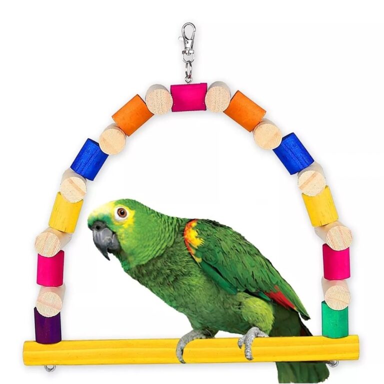 Balanço Para Papagaio Agaporne Maritaca Passarinh