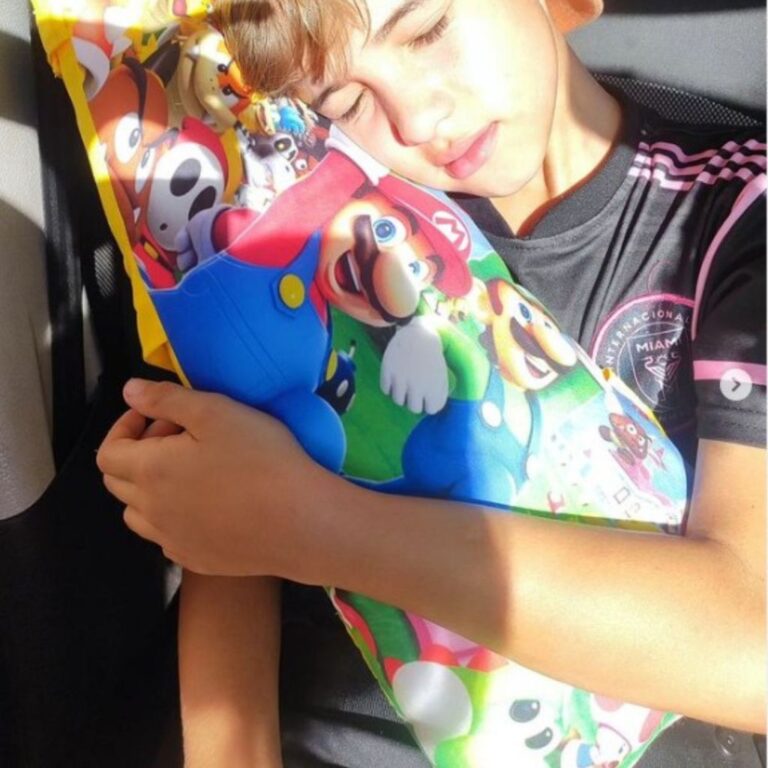 Almofada Protetora P/ Cinto Segurança Carro/Viage