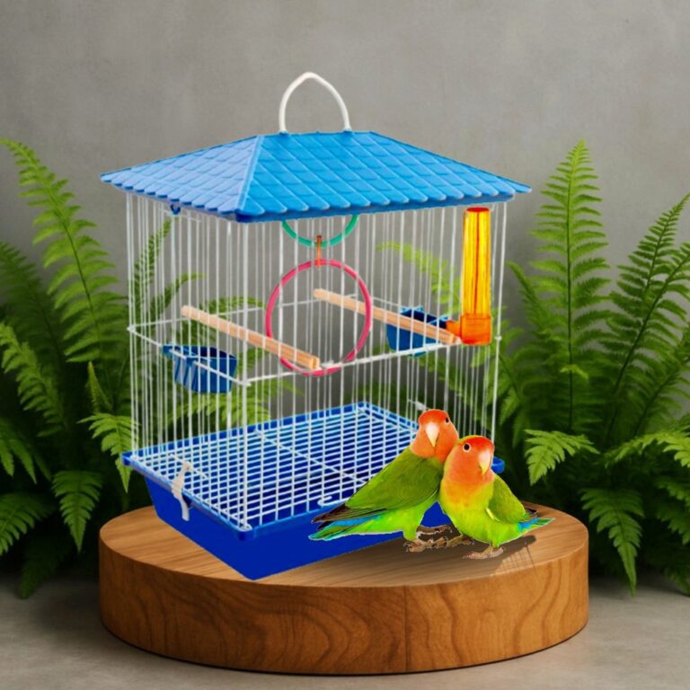 Gaiola Junior Calopsita Agapornis E Outros Passaro