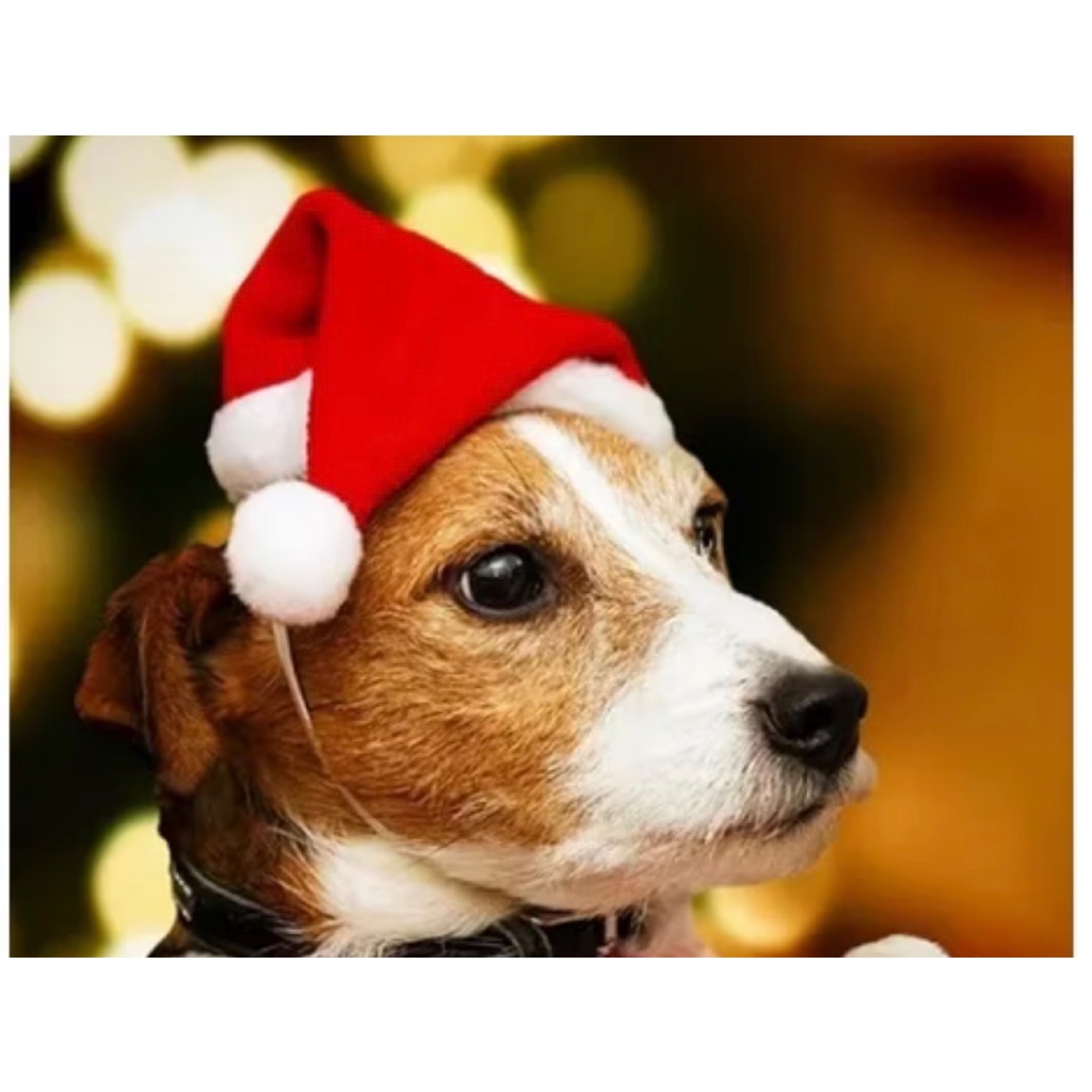 GORRO DE NATAL PARA PETS CÃES E GATOS PEQUENOS E MÉDIO PORTES