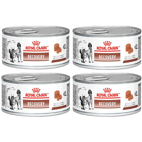 Kit 4 Unidades Royal Canin Recovery 195g Alimento