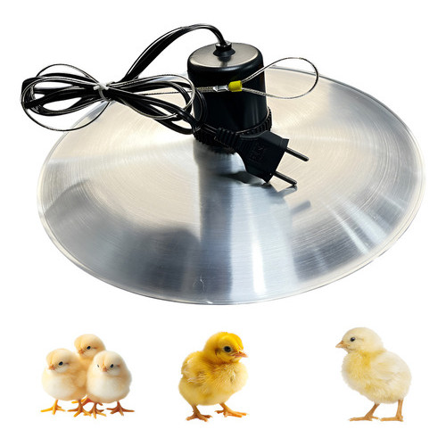 Aquecedor Pintinho Campanula Resistencia Inox Blin