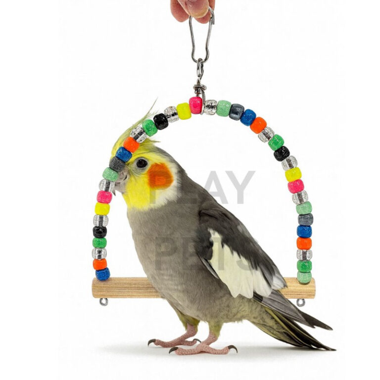 Balanço Missanga Brinquedo para Calopsita, Periqu