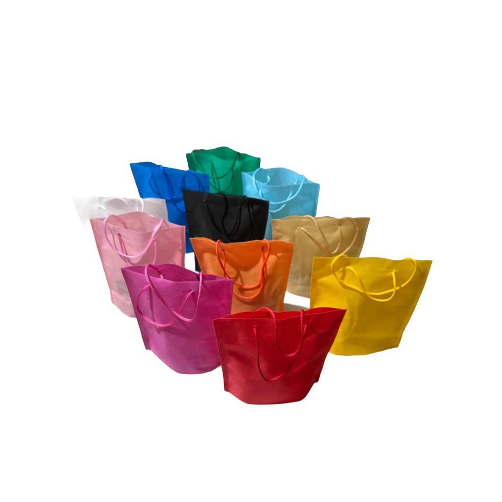 10 UNIDADES SACOLA TNT com Alça Cordão que FICA EM PÉ EM CIMA DA MESA – CORES – 18×20 -22×26 -33×37