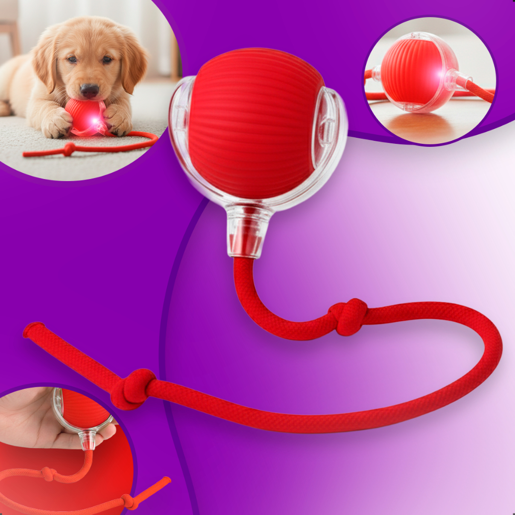 Bola Interativa Automática Para Gatos , Brinquedo De Treinamento Elétrico  PET Gurumania