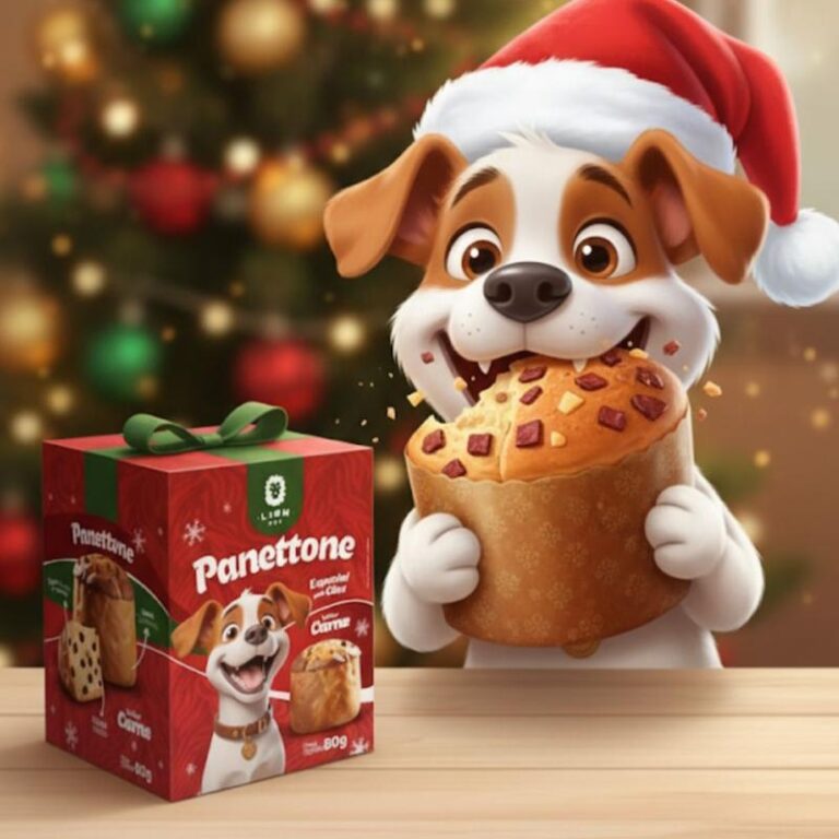 Kit 2 Panetone para Cachorro Gourmet Petisco para 
