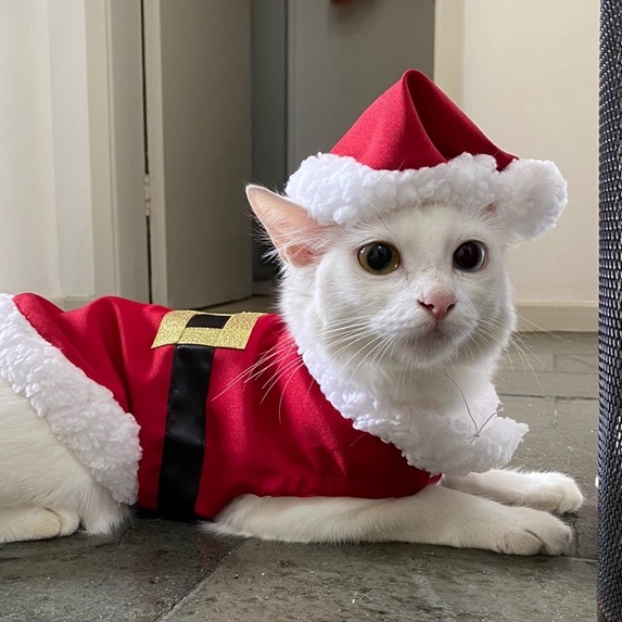 Roupa pet NATAL para cachorro e gato papai Noel , 