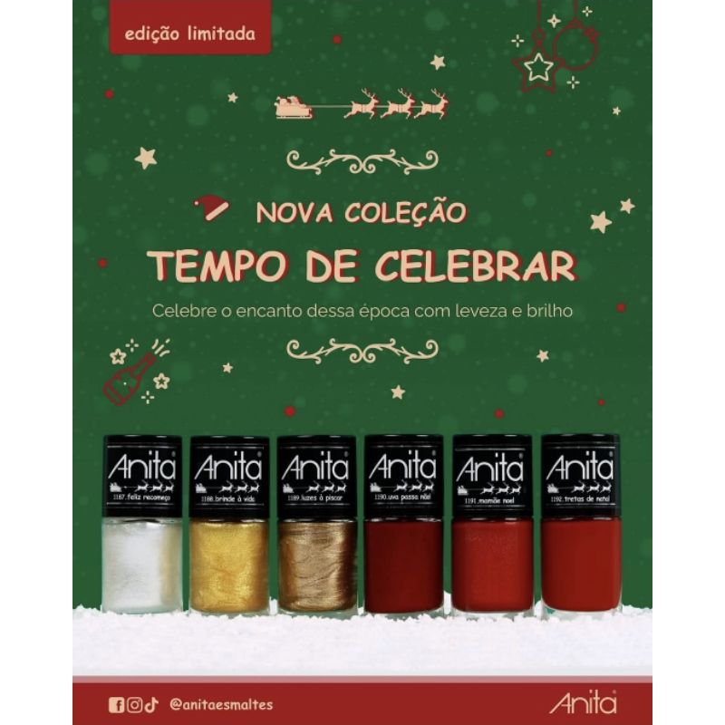 Kit 6 esmaltes Anita Coleção Tempo de Celebrar