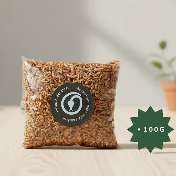 Black Friday Gammarus – Camarão – Des