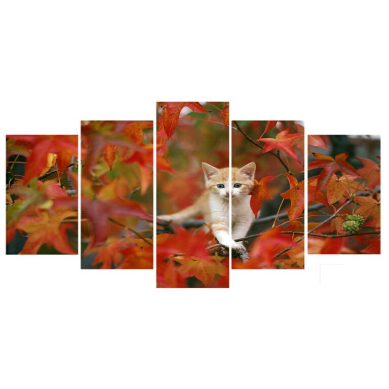 Quadro Decorativo 5 Peças 3mm Gato nas Folhagens